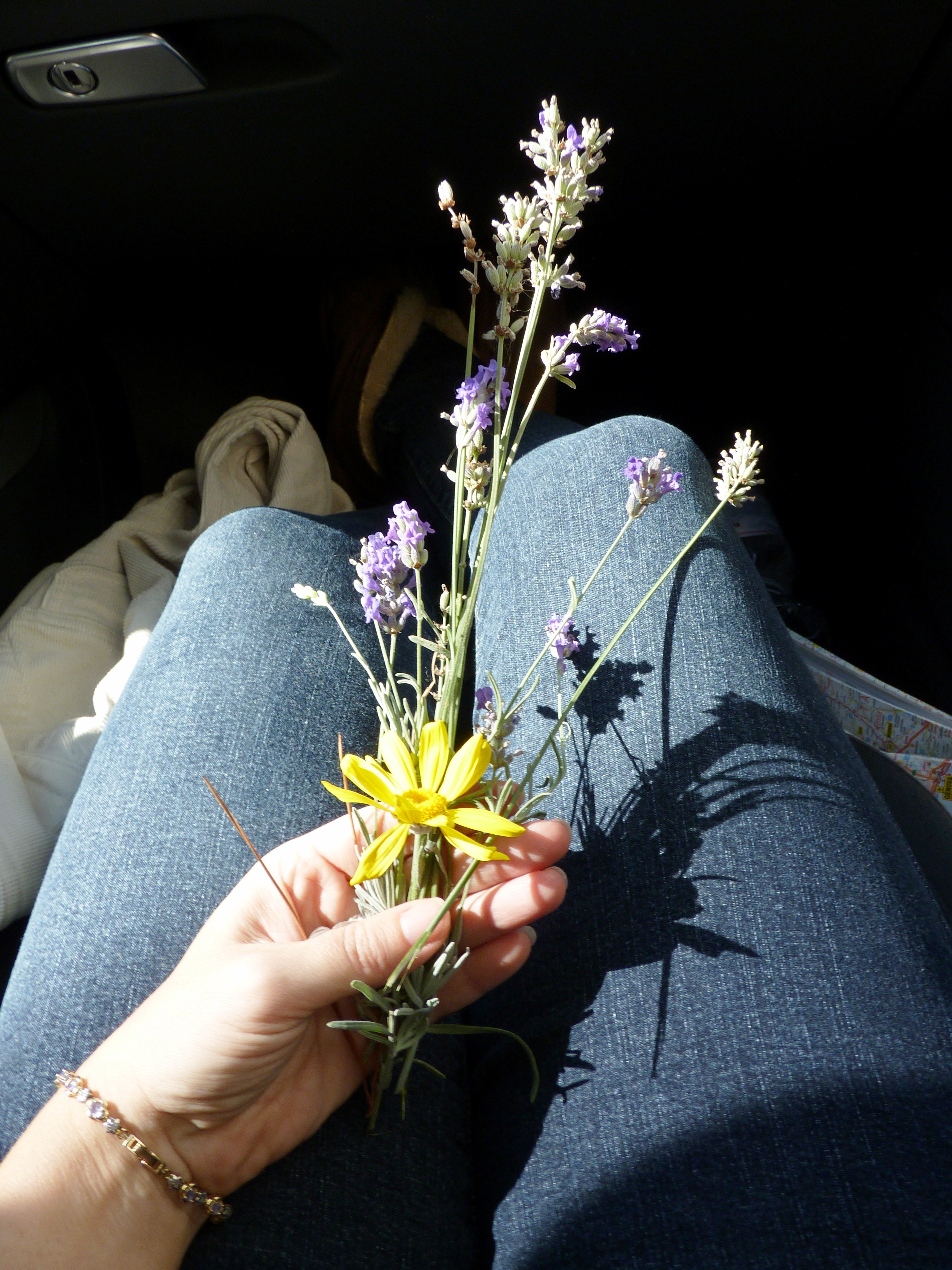 Verbal Assault a Biologicla Weapon